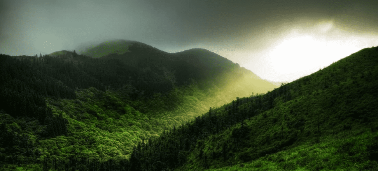 Screenshot_2019-11-15 Free Image on Pixabay - Jesus Light, Mountain, Tree, Grass-min